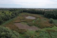 DJI 0039
